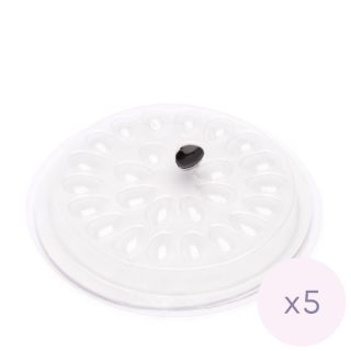 Support pour colle jetable, 5 pcs 3 Starry cils