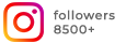 Instagram followers count
